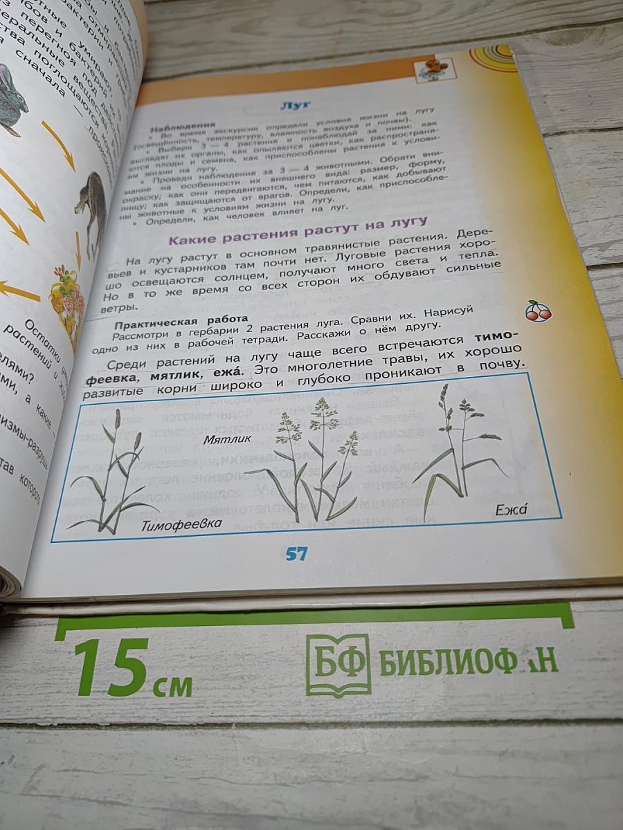 Окружающий мир 4 класс, Часть 1