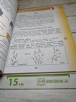 Окружающий мир 4 класс, Часть 1