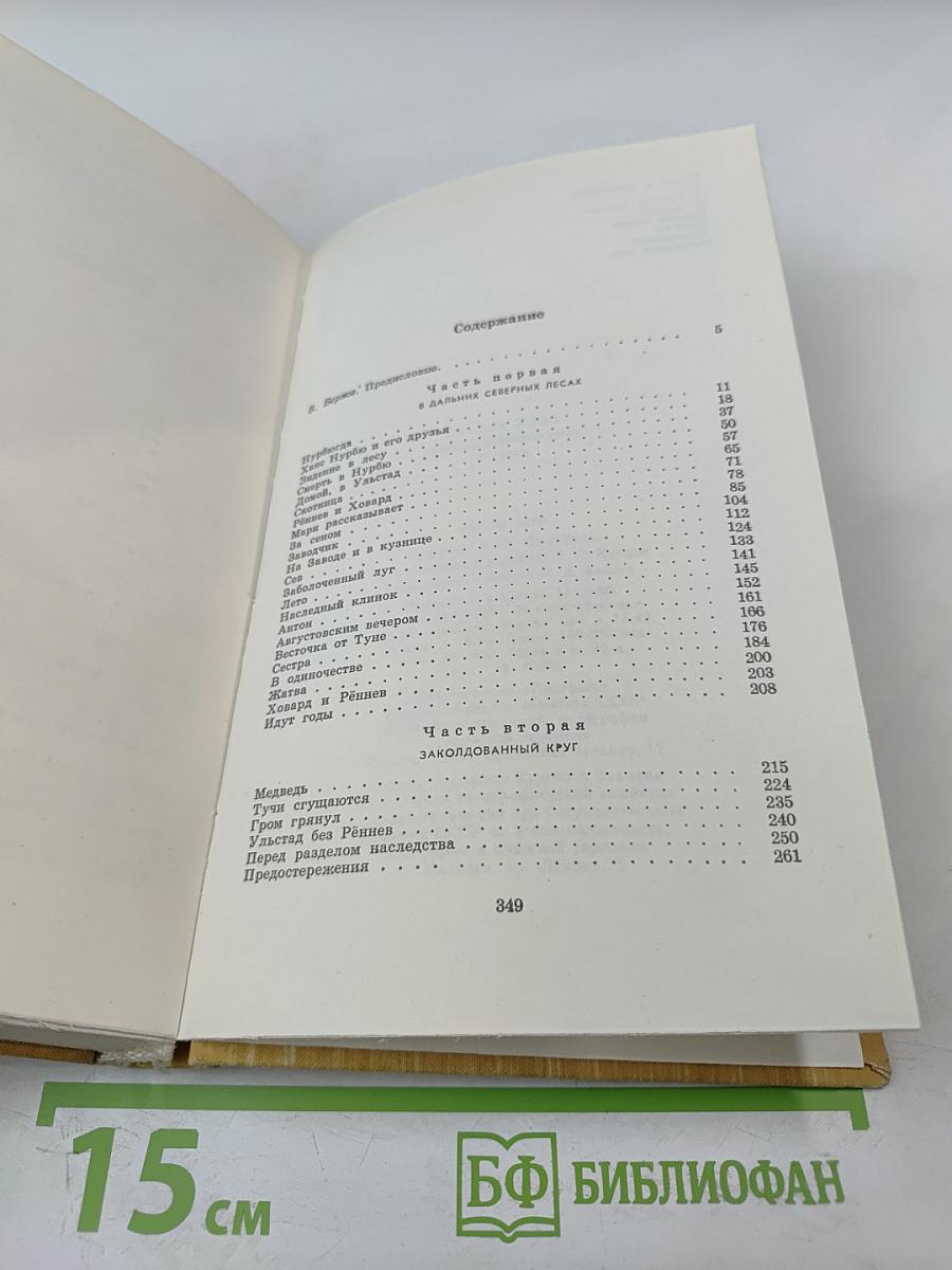 Заколдованный круг