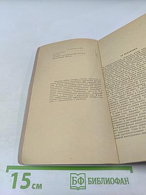 Правильность русской речи. Словарь-справочник