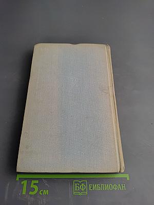 Колокола возвещают день