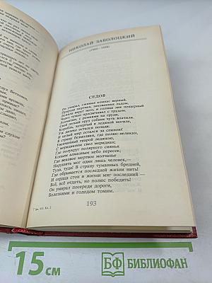Путешествие в страну Поэзия. Книга 2