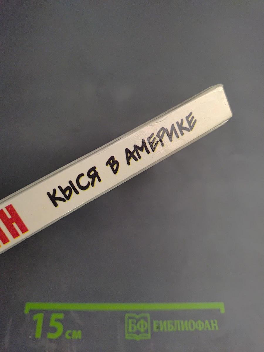 Кыся в Америке