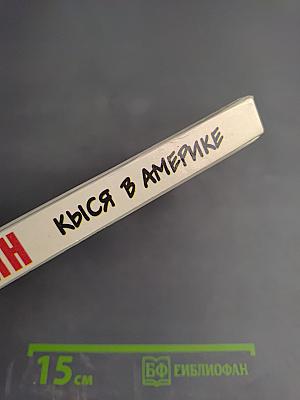 Кыся в Америке