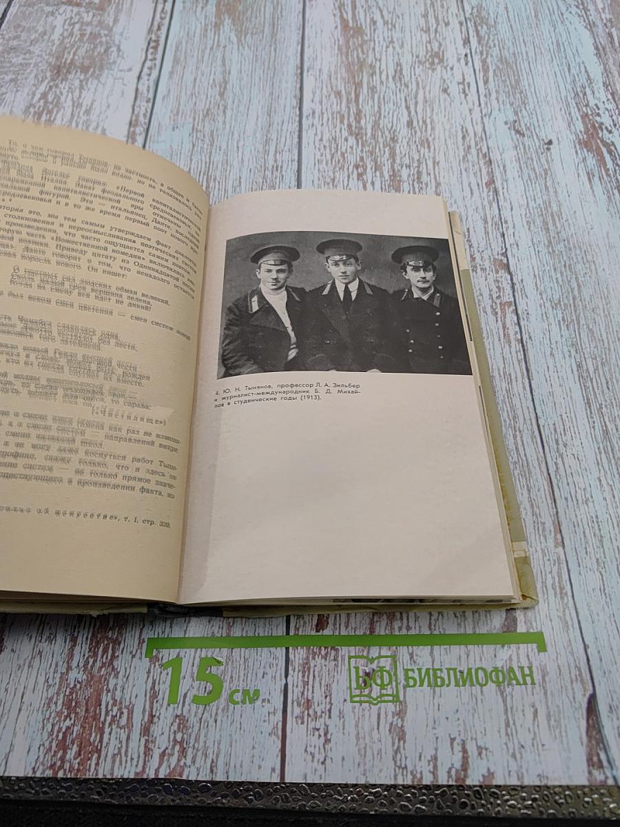 Тынянов. Воспоминания, размышления, встречи