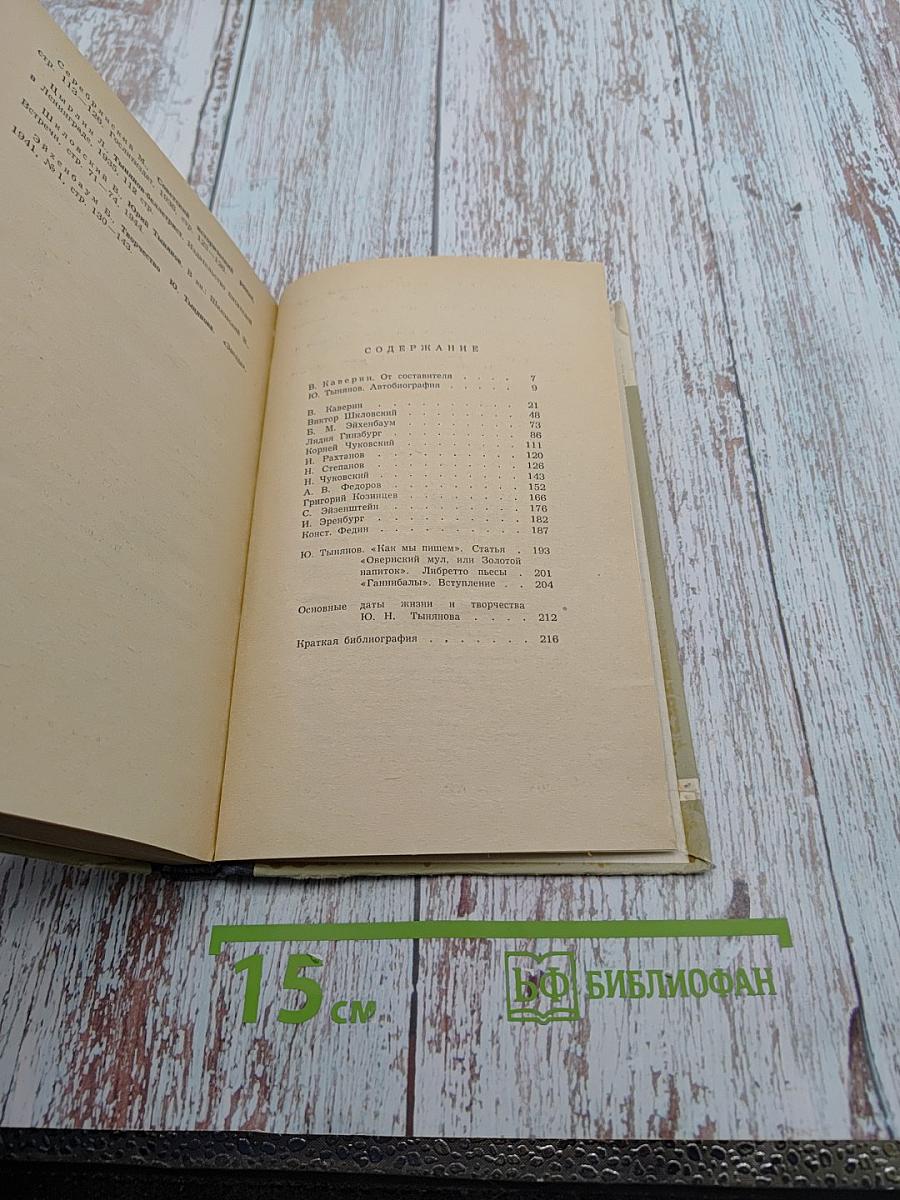 Тынянов. Воспоминания, размышления, встречи