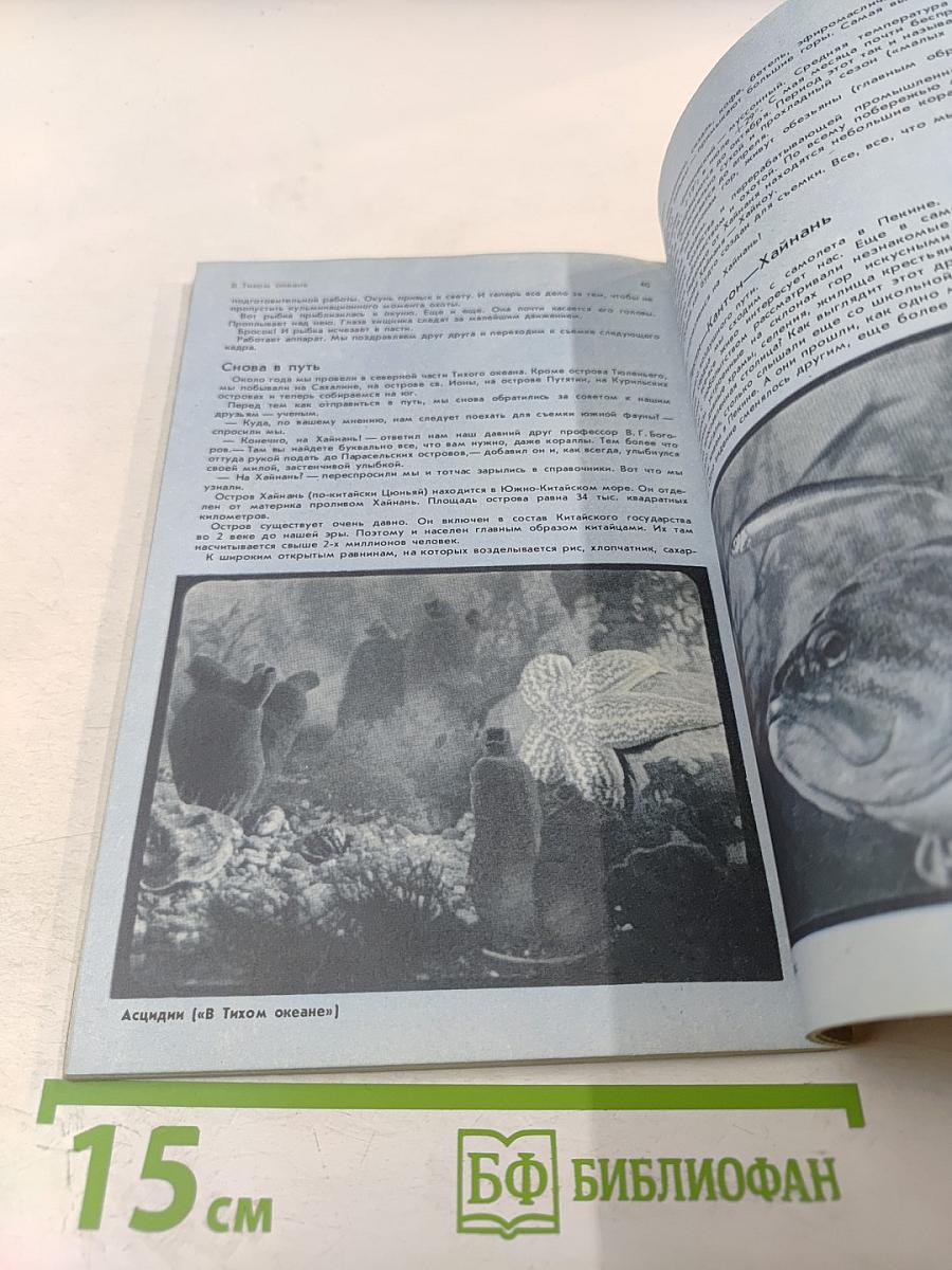 По следам диких животных