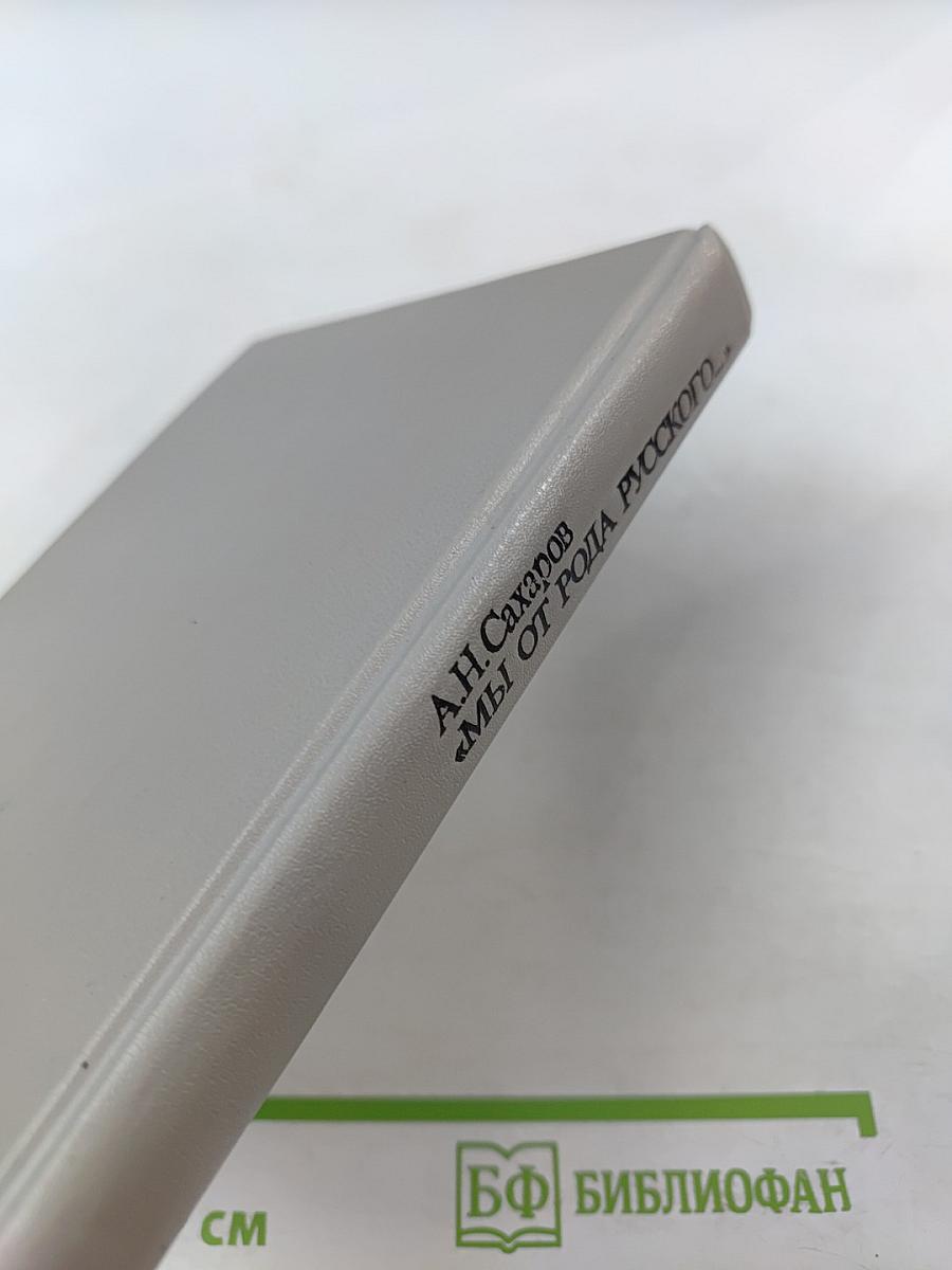 Мы от рода русского...: Рождение русской дипломатии