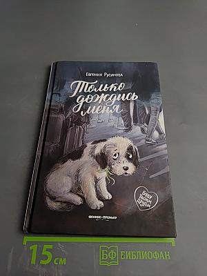 Только дождись меня