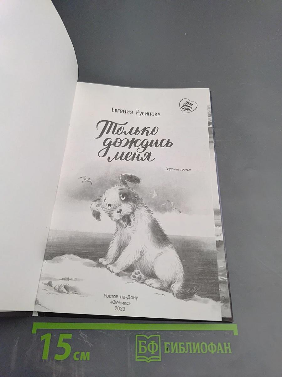 Только дождись меня