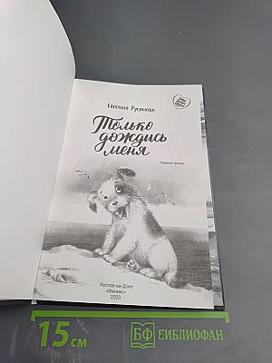 Только дождись меня