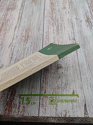 Лирическая поэзия Байрона