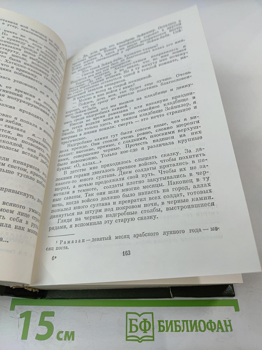 Избранные произведения. Птичка певчая. Зеленая ночь. Мельница. Романы