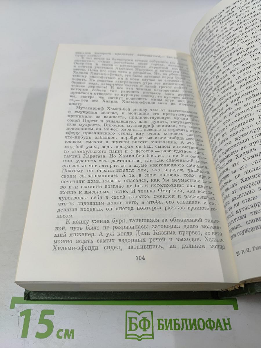 Избранные произведения. Птичка певчая. Зеленая ночь. Мельница. Романы