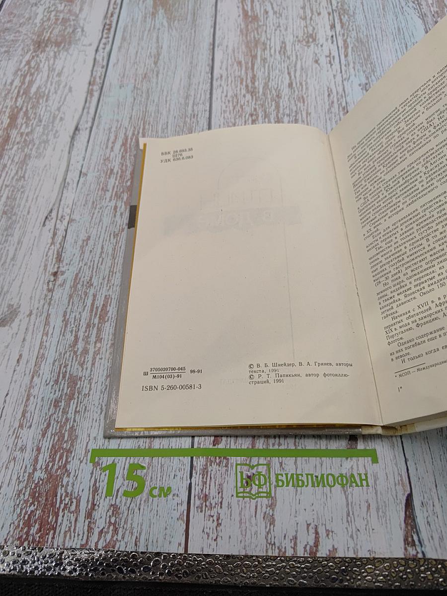 Птицы в доме