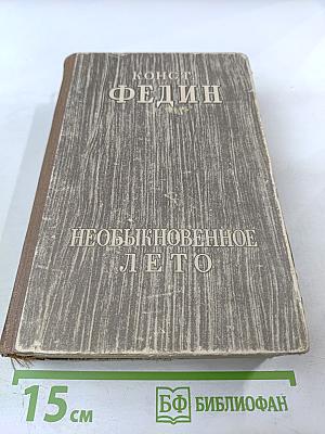 Необыкновенное лето