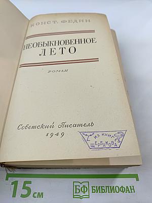 Необыкновенное лето