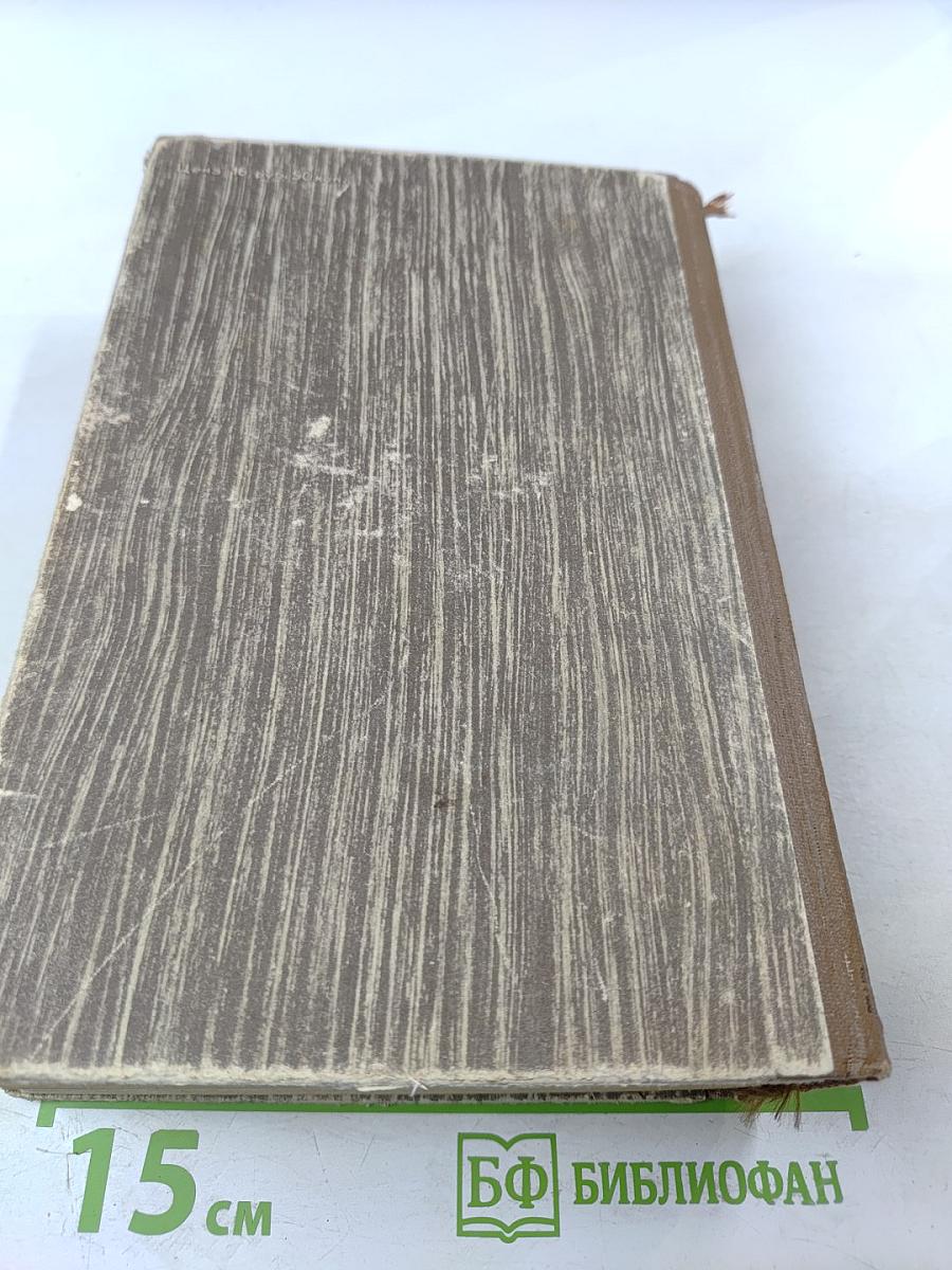 Необыкновенное лето