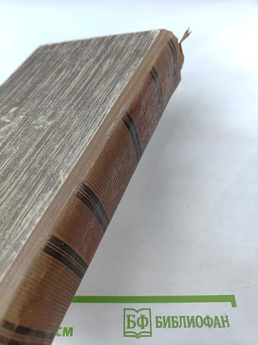 Необыкновенное лето