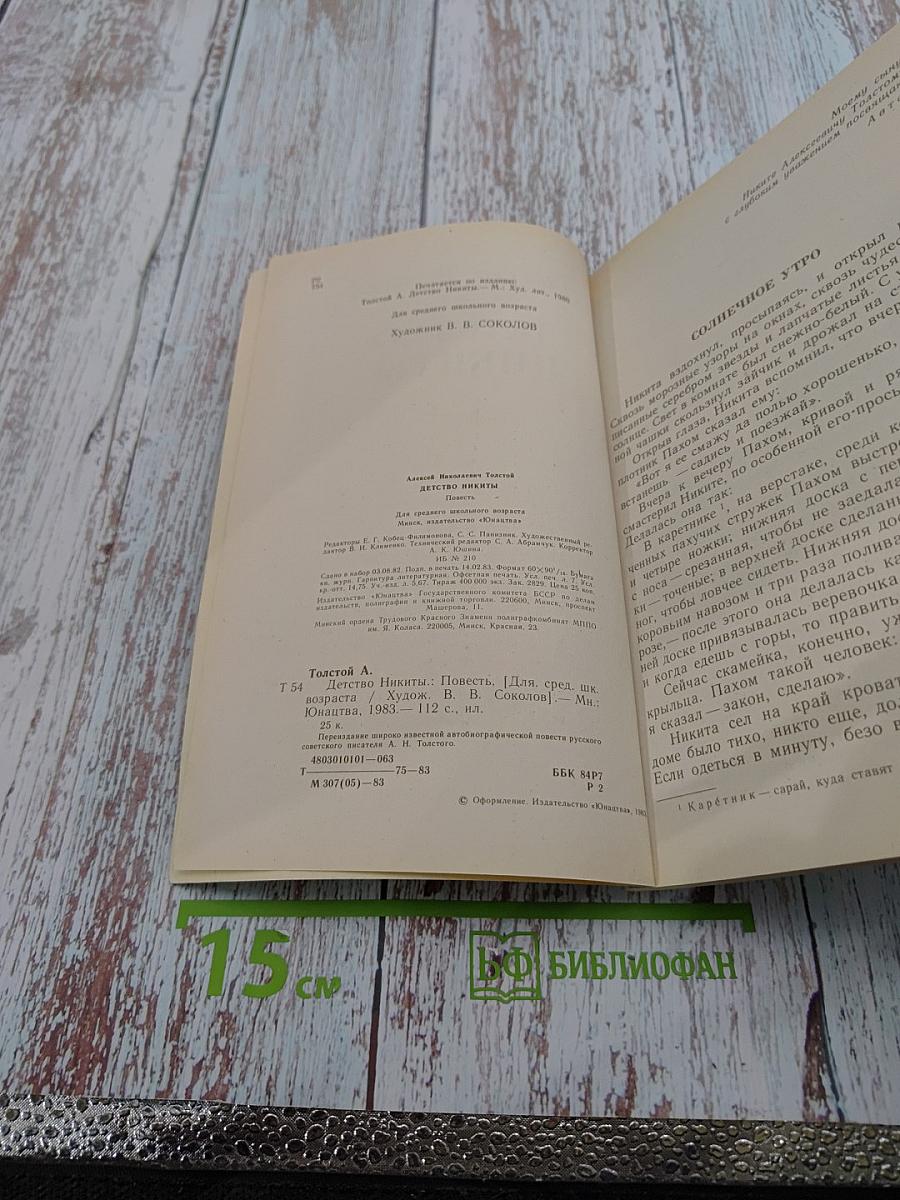 Детство Никиты