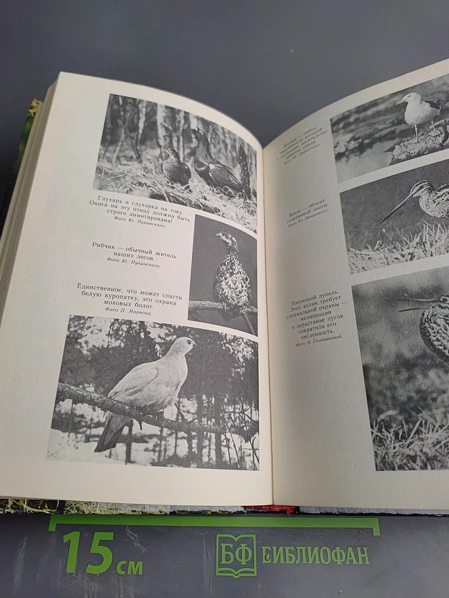 Природа Ленинградской области и ее охрана