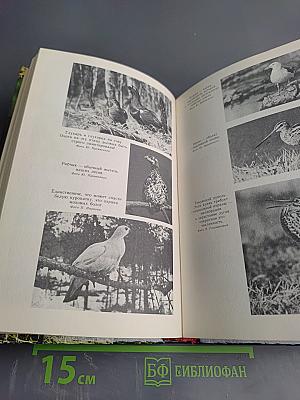 Природа Ленинградской области и ее охрана