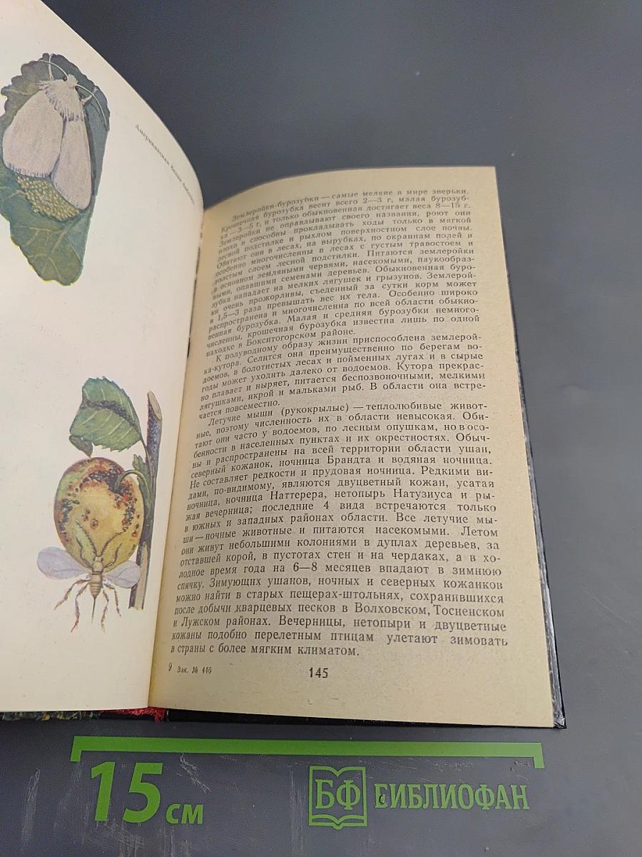 Природа Ленинградской области и ее охрана