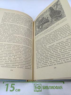 Наша охота. Сборник V