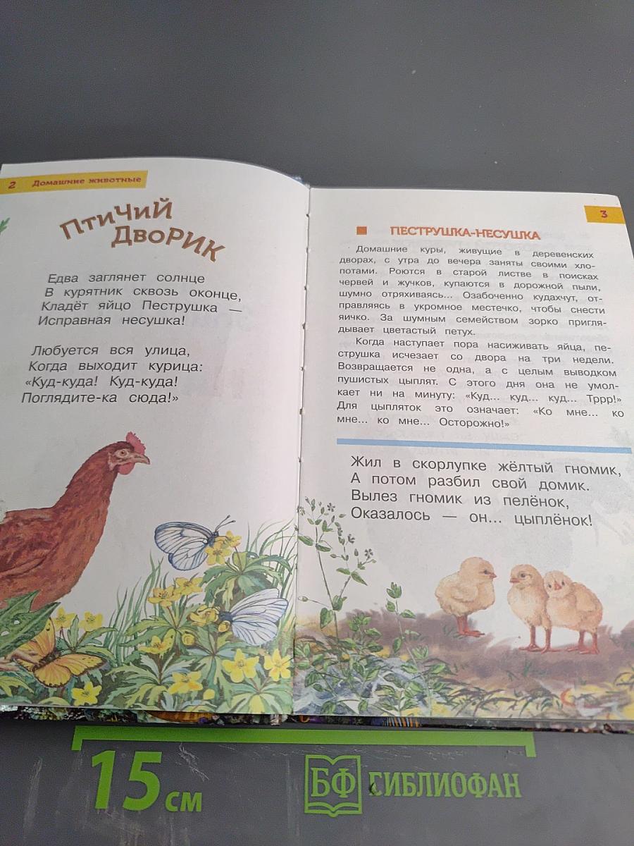 Лучшая энциклопедия для самых маленьких