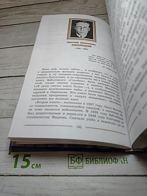 Литература. 9 класс. Учебник. Часть 2