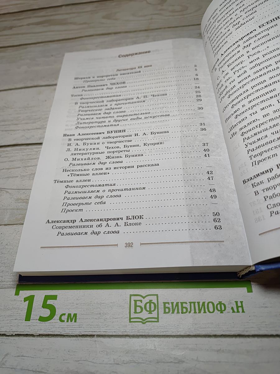 Литература. 9 класс. Учебник. Часть 2