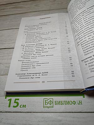 Литература. 9 класс. Учебник. Часть 2