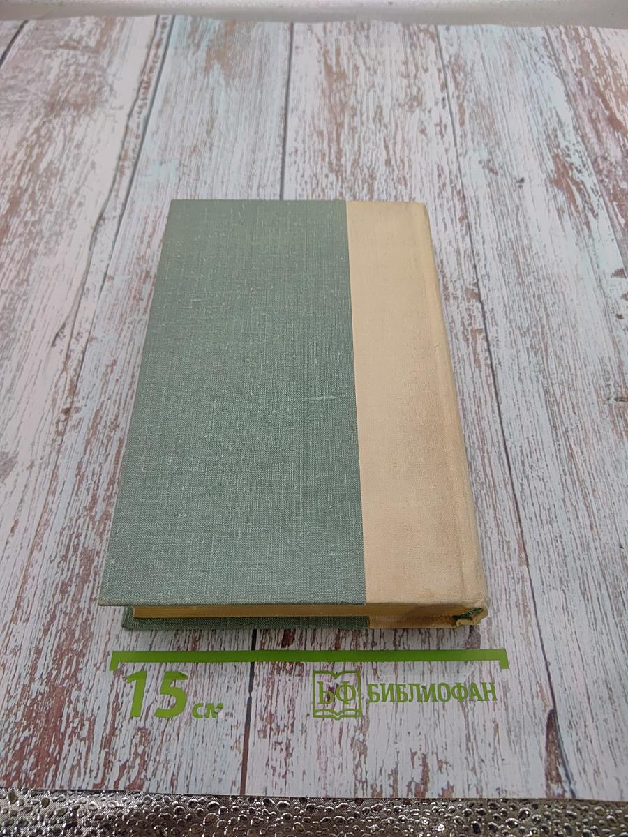 Западноевропейская лирика