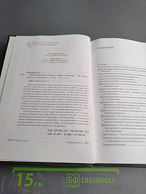 Право и Интернет: очерки теории и практики