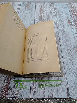 Богатырское поле