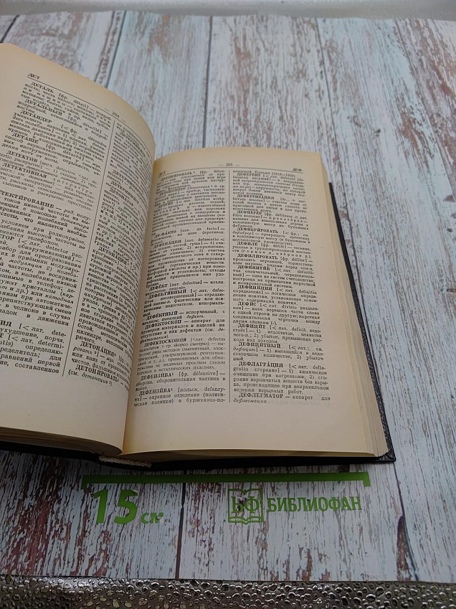 Большой словарь иностранных слов в русском языке