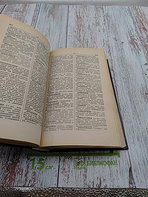 Большой словарь иностранных слов в русском языке