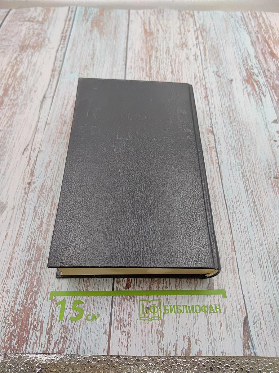 Большой словарь иностранных слов в русском языке