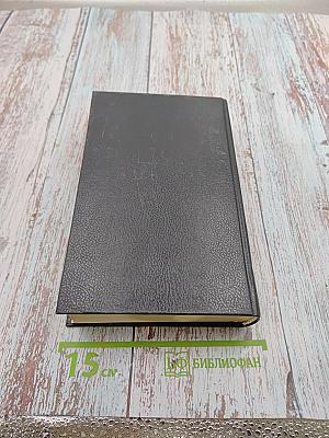 Большой словарь иностранных слов в русском языке