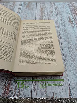 И это называется будни