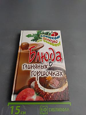 Блюда в глиняных горшочках