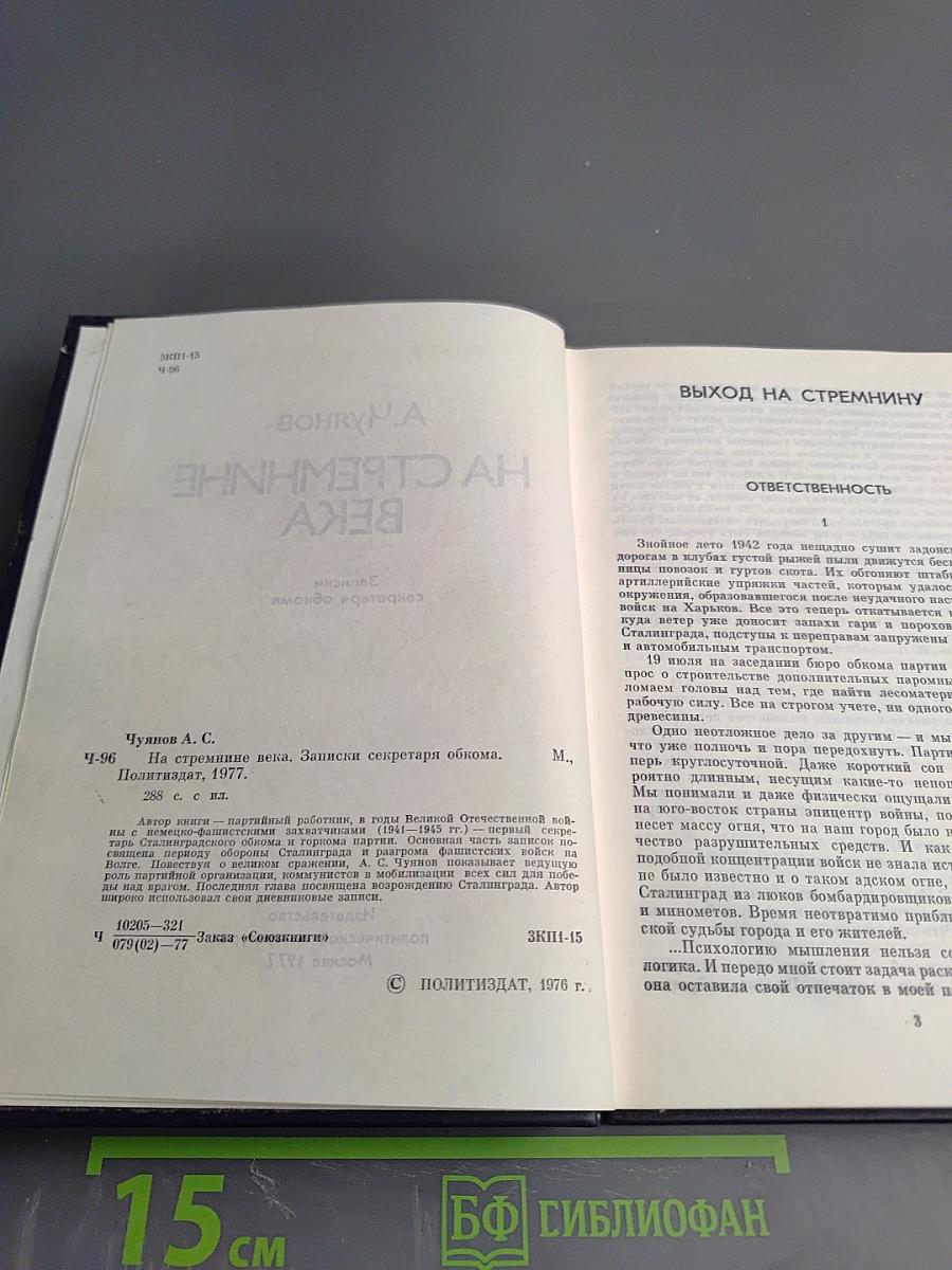 На стремнине века