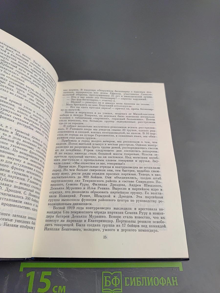 На стремнине века