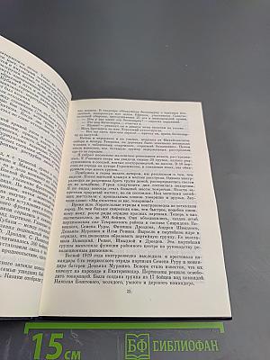 На стремнине века