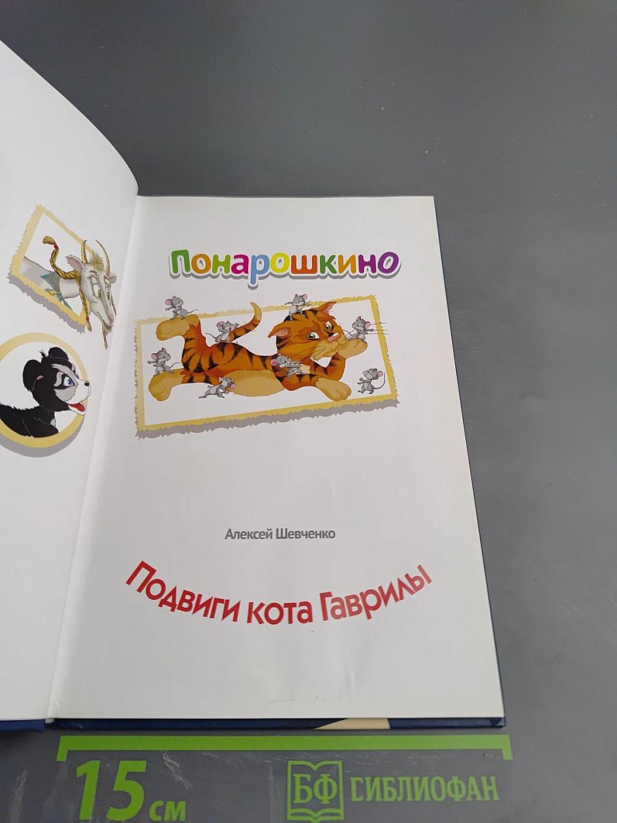 Подвиги кота Гаврилы