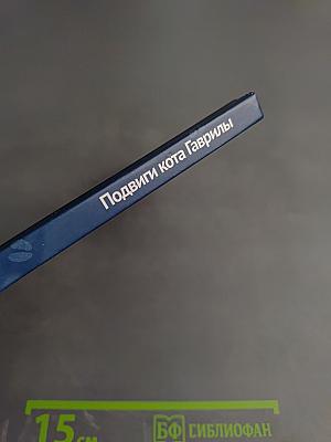 Подвиги кота Гаврилы