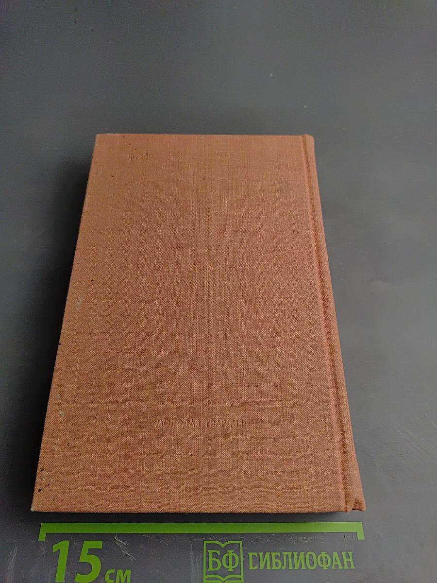 Эти четыре года. Том 2