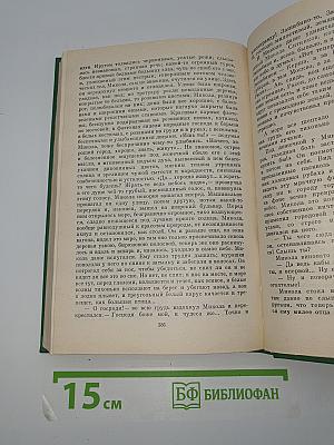 Родина мастеров