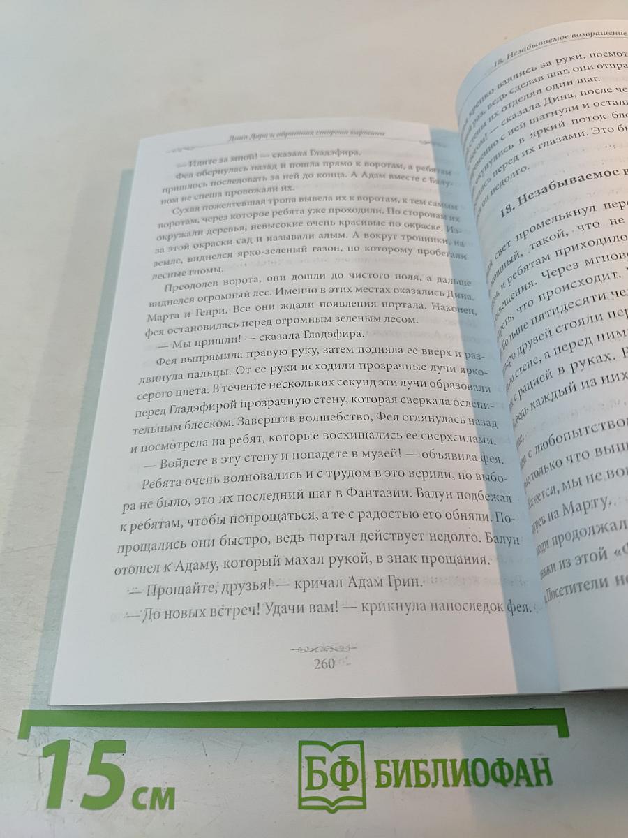 Дина Дора и обратная сторона картины