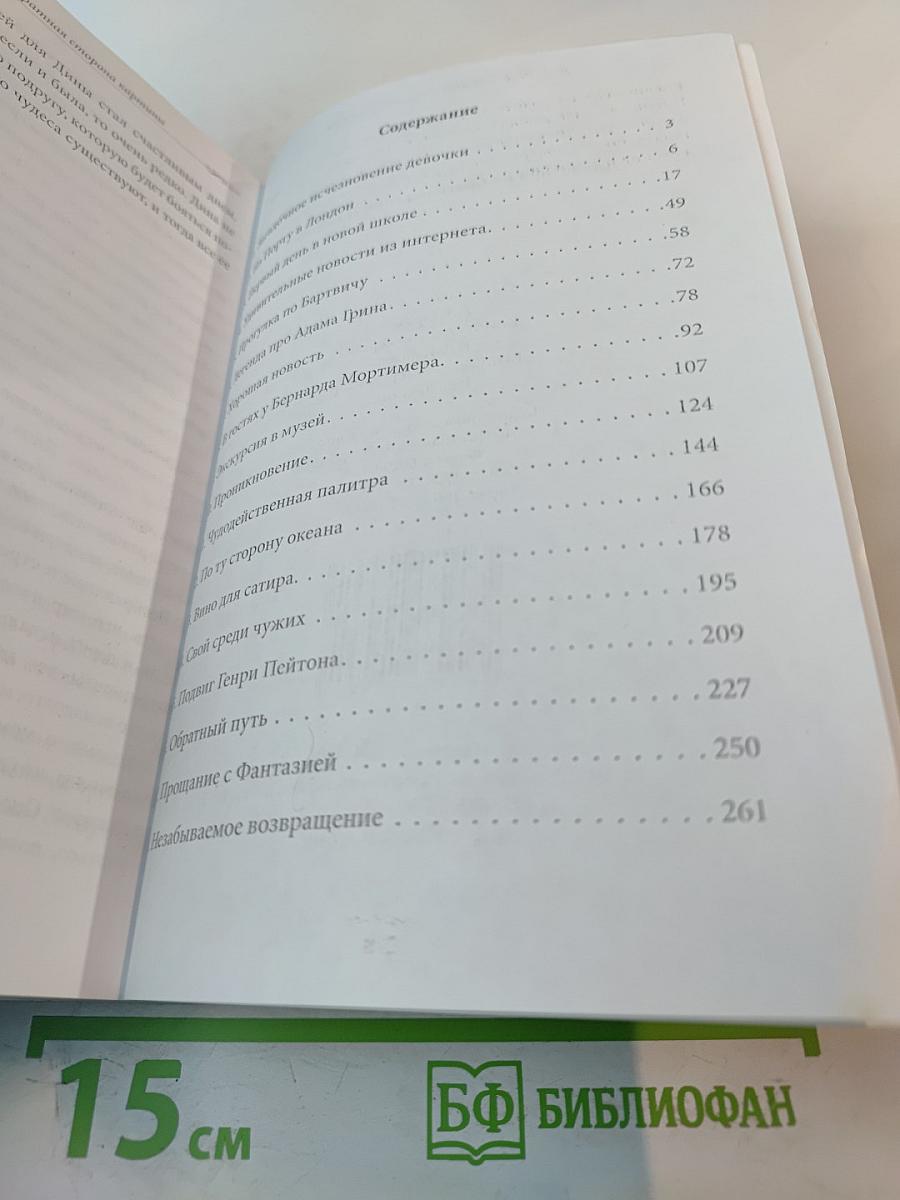 Дина Дора и обратная сторона картины